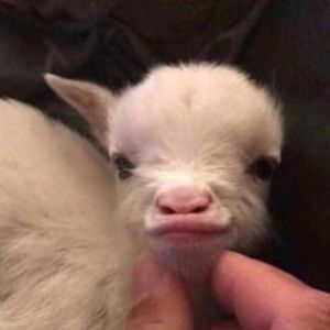 Meet your Posher, Cristina